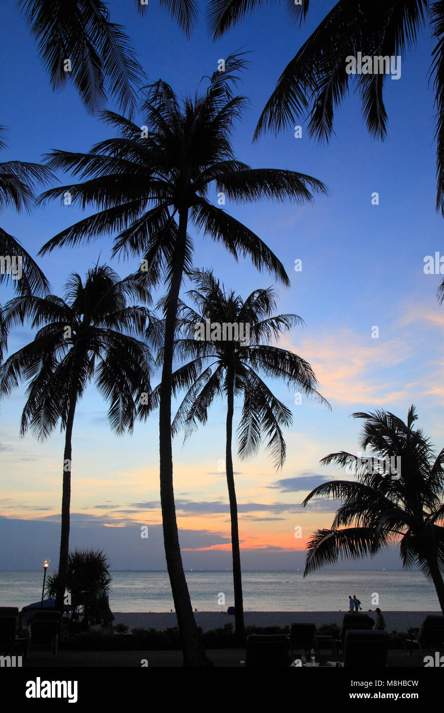 Thailand, Phuket, Kata Noi Beach, sunset, palms, people, Stock Photo