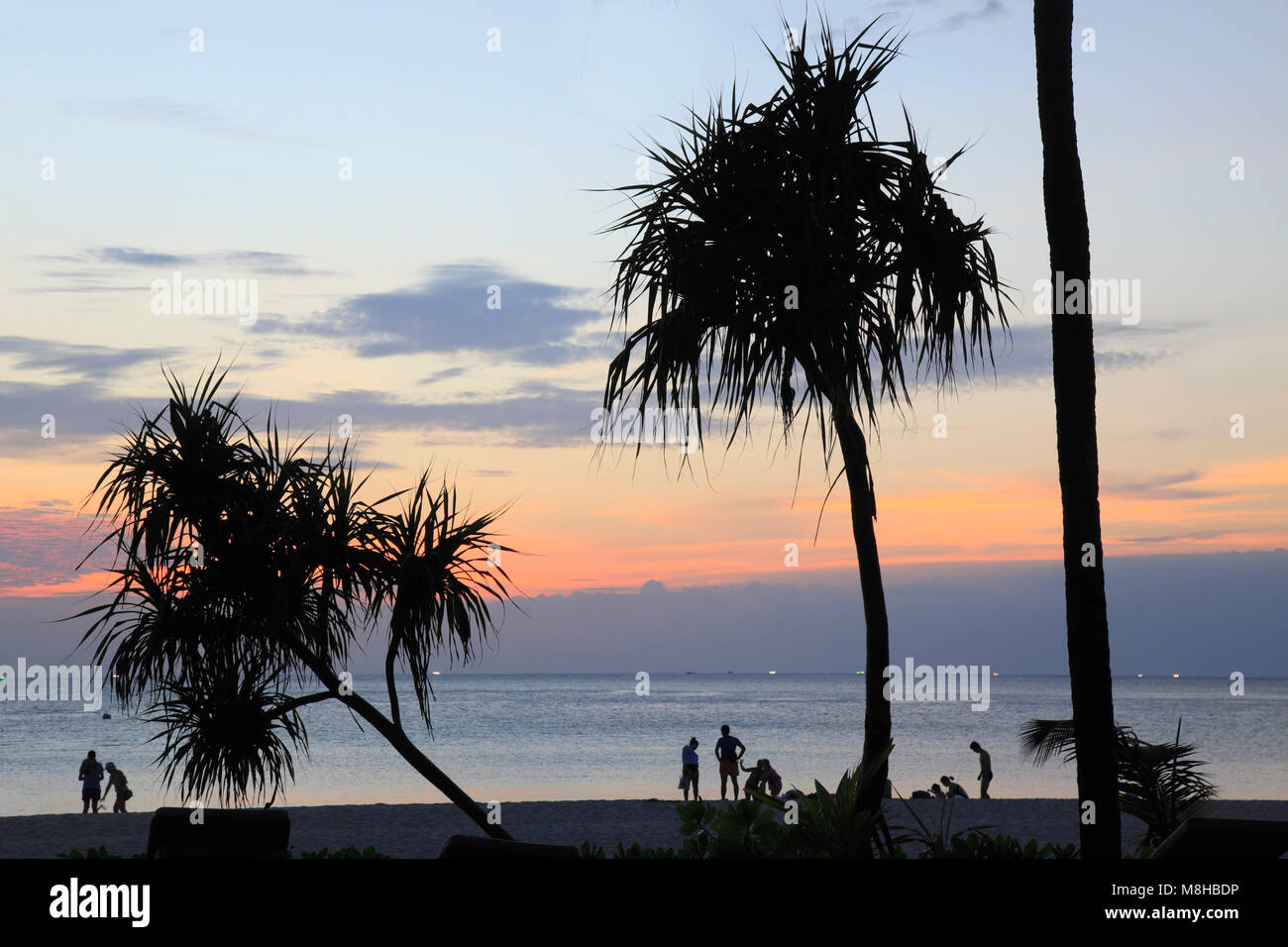 Thailand, Phuket, Kata Noi Beach, sunset, palms, people, Stock Photo