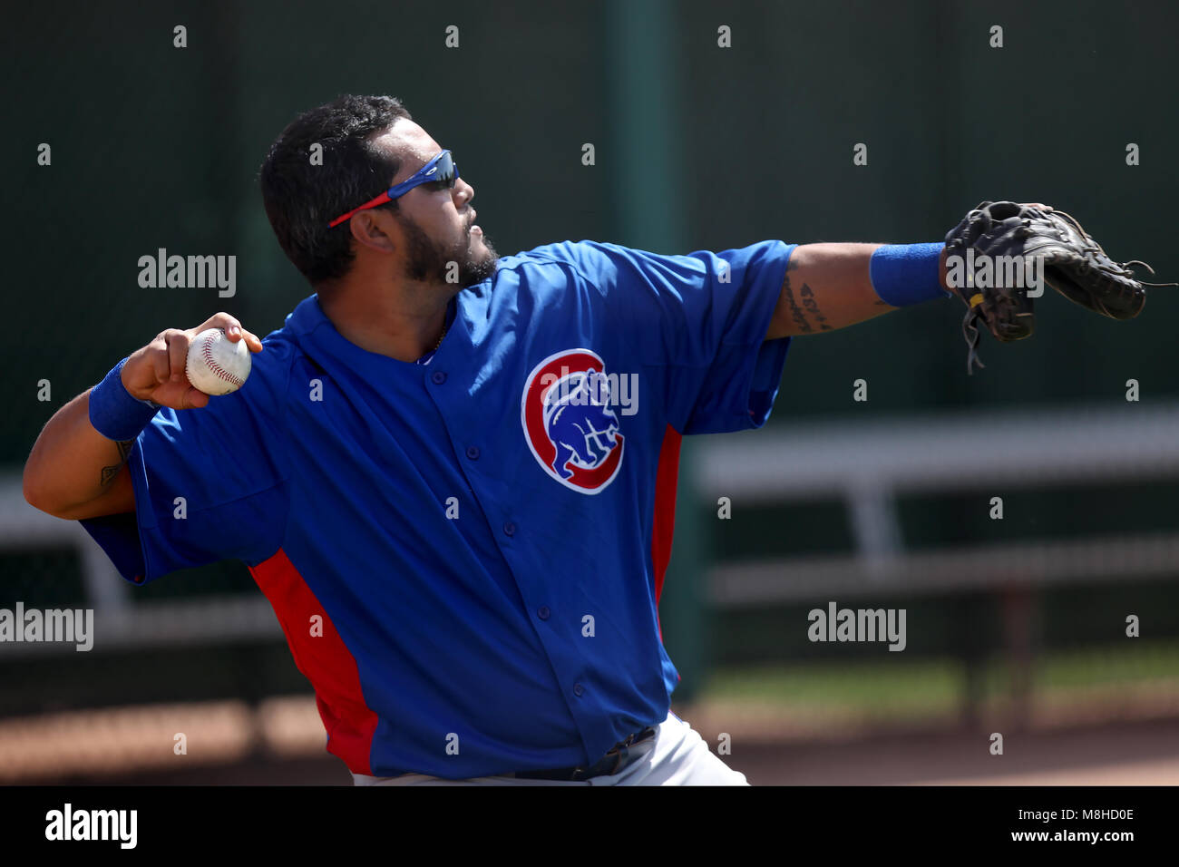 Glendale, Phoenix. USA. Dioner Navarro receptor de Chicago Cubs en el