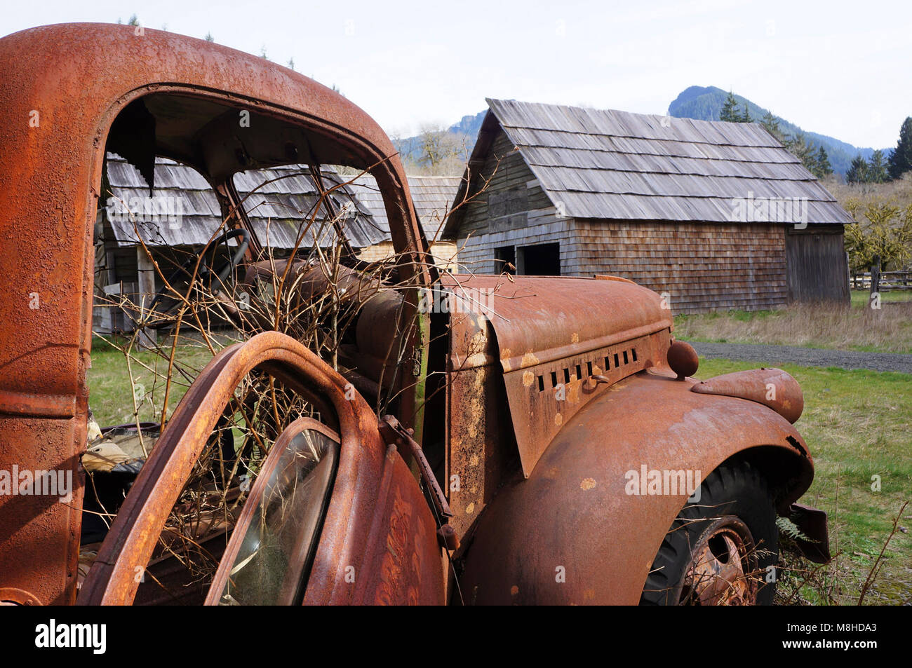 kestner homestead truck buildings quinault rainforest historic. kestner