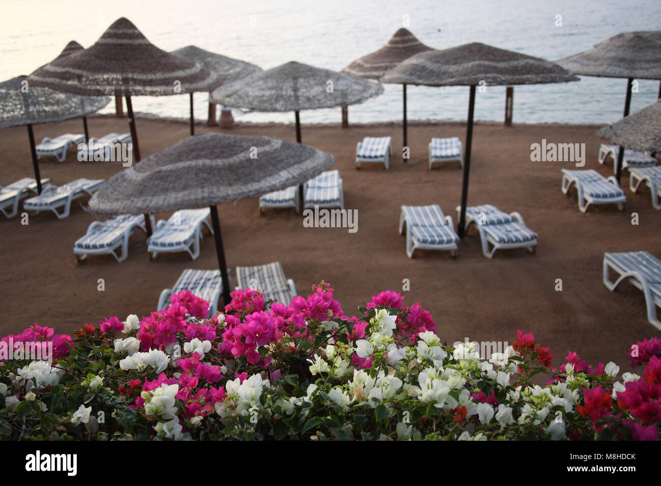Tourist resort, Egypt Stock Photo - Alamy
