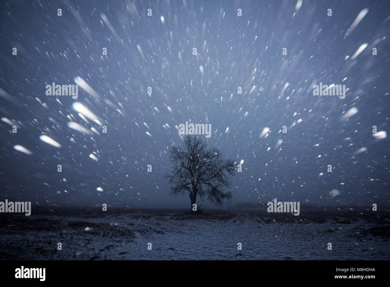 A snow storm in Car Colston, Nottinghamshire. Stock Photo
