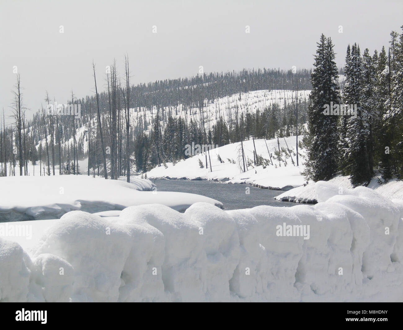 Lewis River. Spring plowing Stock Photo - Alamy