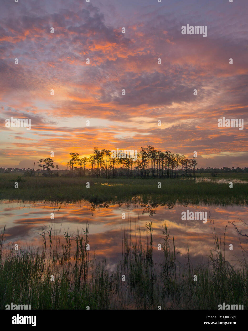 TURNER RIVER ROAD Stock Photo Alamy