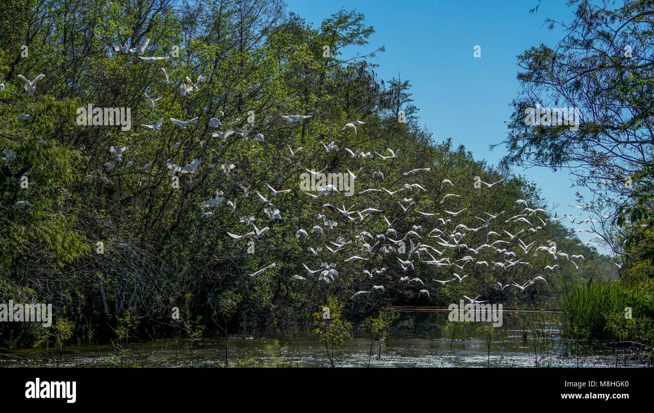 Turner River Road Stock Photo Alamy