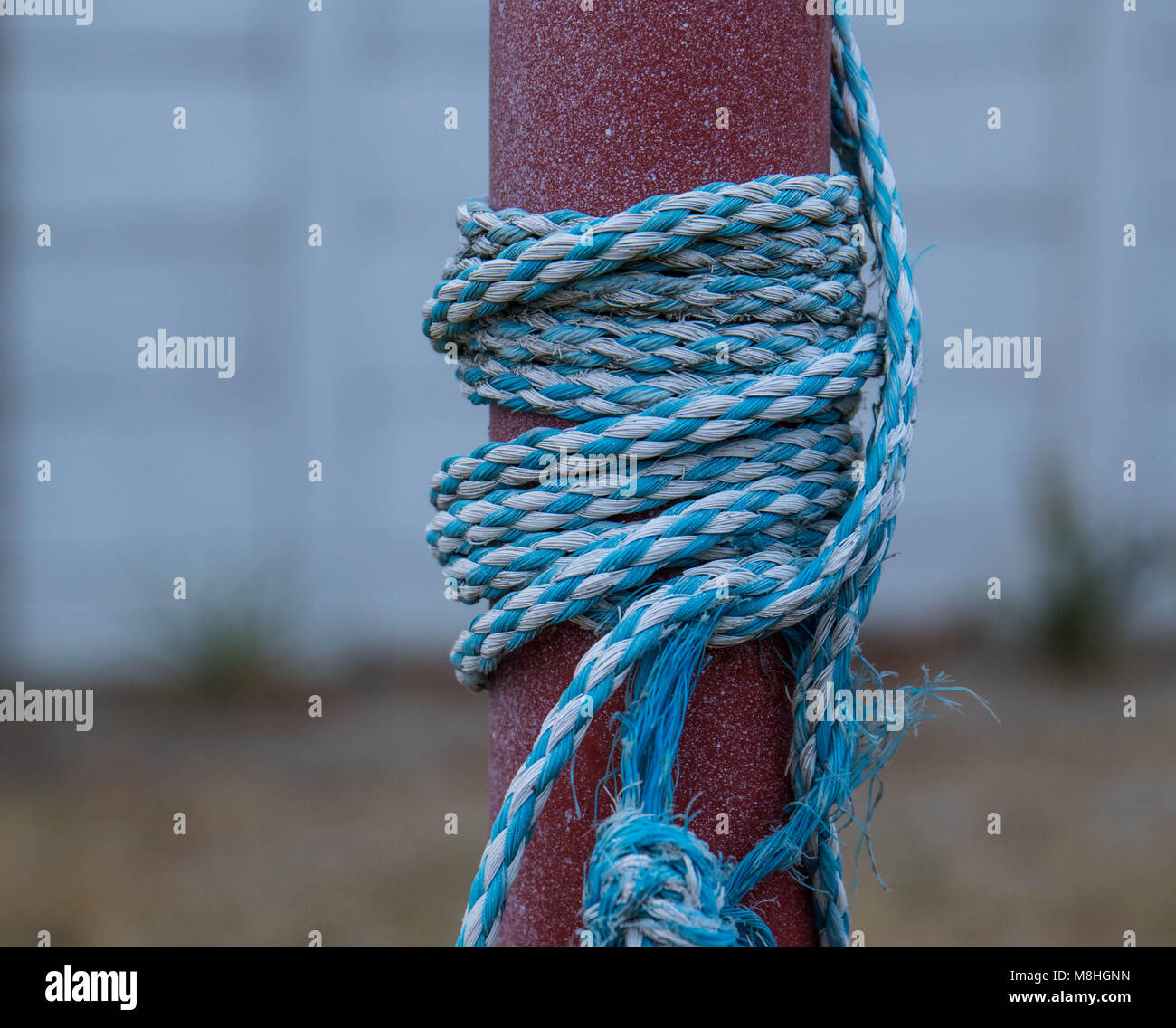 Wound tight hires stock photography and images Alamy