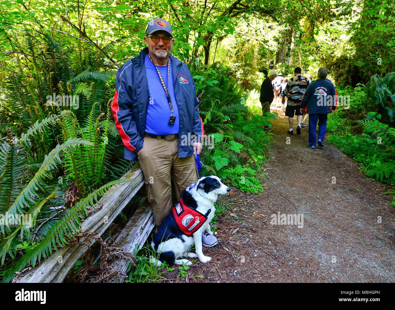 Visitor with assistance dog. Visitors at Big Tree, Prairie Creek Redwoods State Park, CA, Stock Photo