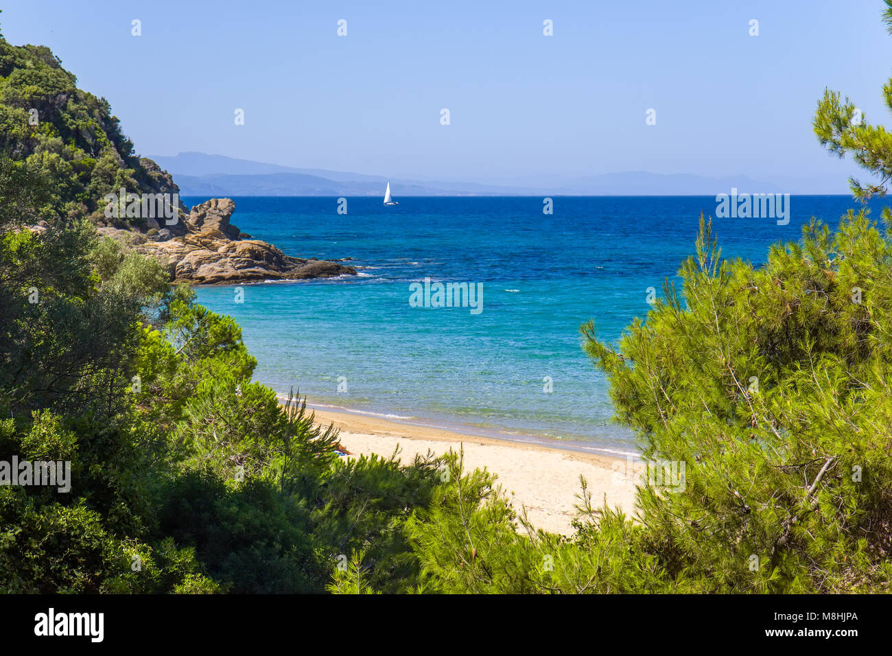 Banana beach on the Skiathos island, Greece Stock Photo Alamy
