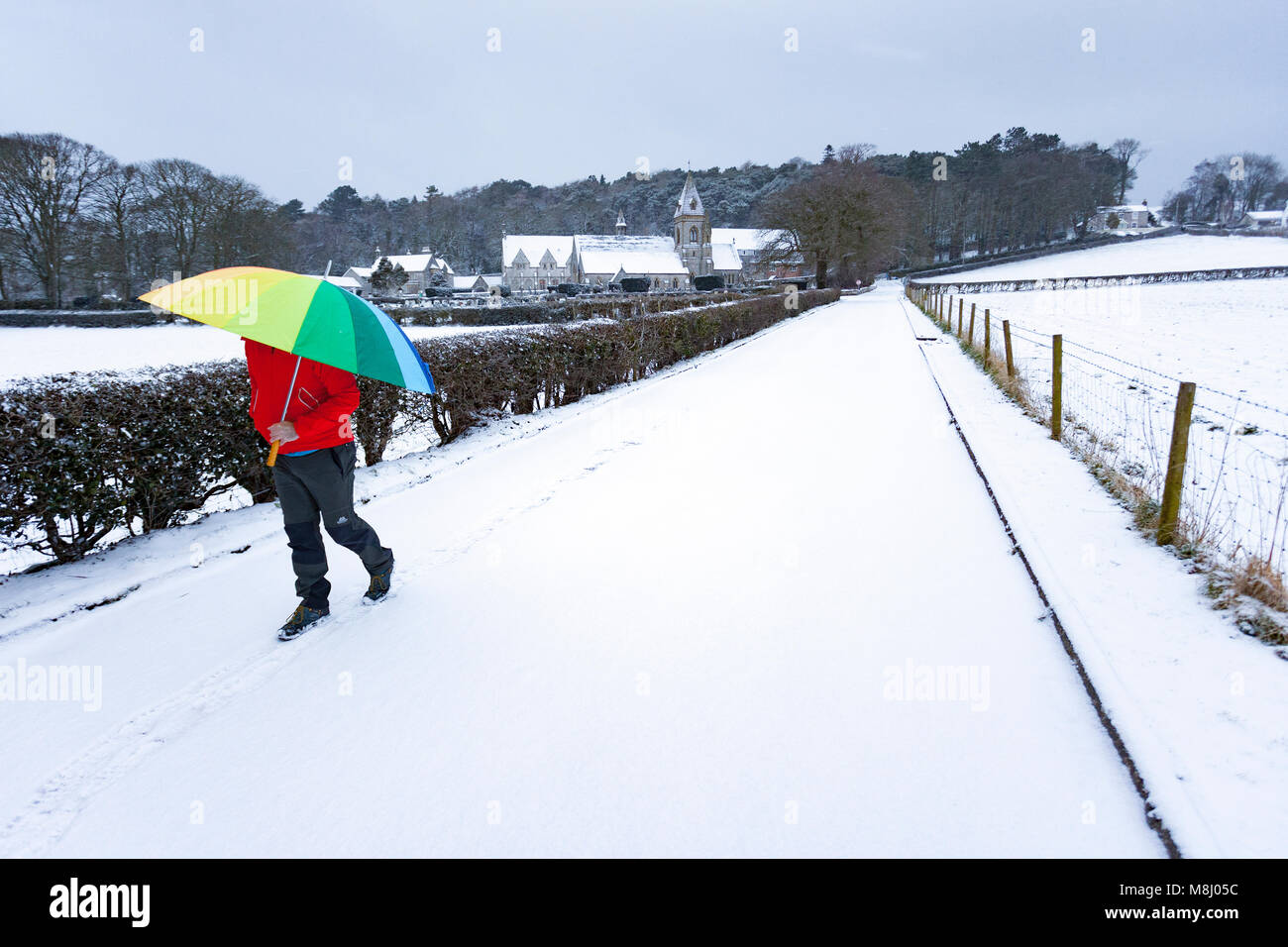 Flintshire, Wales, UK  With Met Office Warnings in place for snow the Mini Beast from the East brings a chill to Flintshire with freezing temperatures and snowy conditions with more on the way throughout the next 24hrs. A person walking down a snow covered lane with a mulitcoloured umbrella for protection from the heavy snow fall at the Pantasaph Franciscan Friary, Flintshire Stock Photo