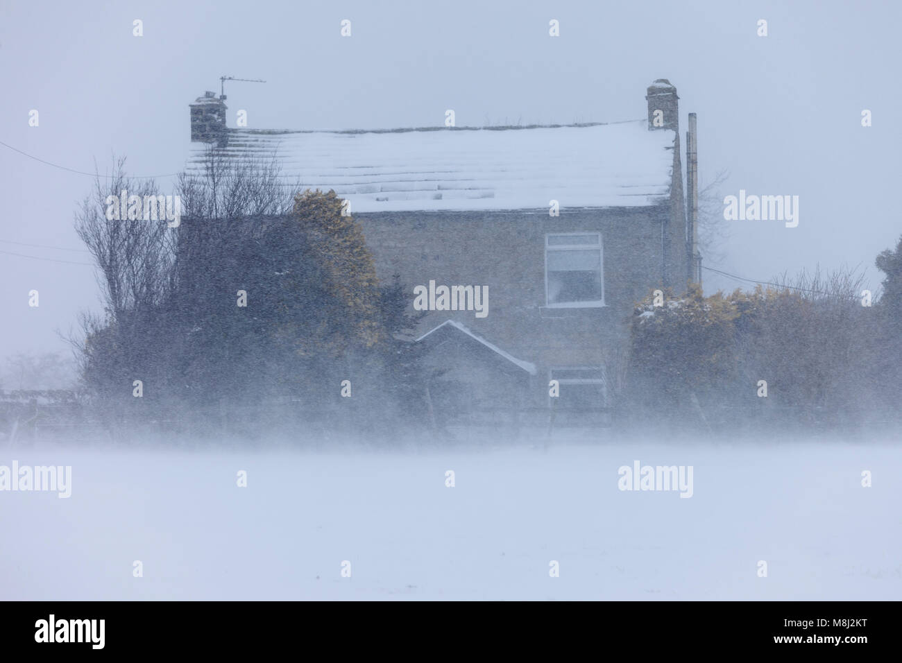 Barnard Castle, County Durham. Sunday 18th March 2018. UK Weather. As driving snow blasts past a house in County Durham, only yards away a woman battles through deep snow and blizzard conditions in Marwood on the outskirts of Barnard Castle. David Forster/Alamy Live News Stock Photo