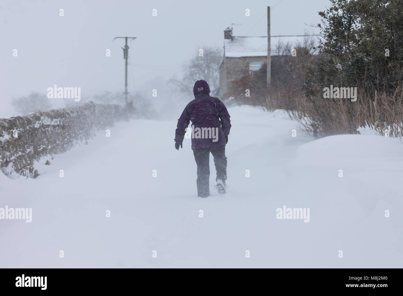 Barnard Castle, County Durham. Sunday 18th March 2018. UK Weather. As driving snow blasts past a house in County Durham, only yards away a woman battles through deep snow and blizzard conditions in Marwood on the outskirts of Barnard Castle. David Forster/Alamy Live News Stock Photo