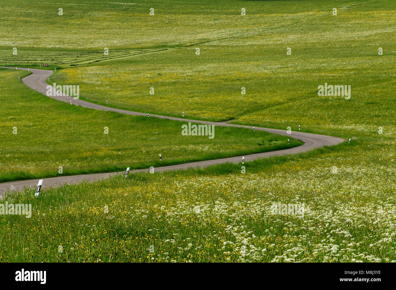 Road between meadows on the Swabian Alps near Feldstetten (part Laichingen), Alb-Donau District, Baden-Württemberg, Germany Stock Photo