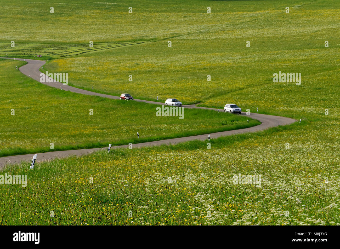Cars on a road between meadows on the Swabian Alps near Feldstetten (part of Laichingen), Alb-Donau District, Baden-Württemberg, Germany Stock Photo