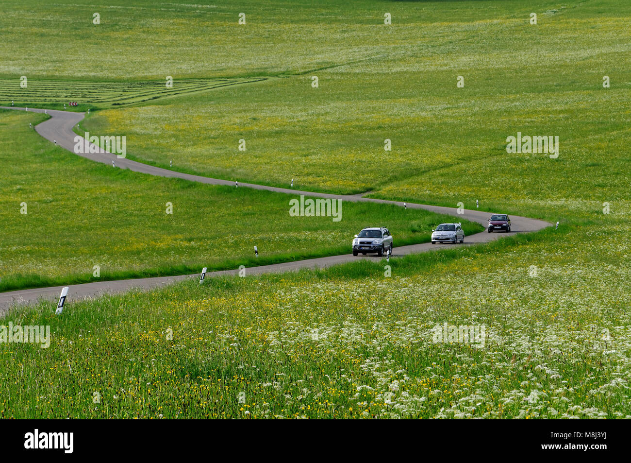 Cars on a road between meadows on the Swabian Alps near Feldstetten (part of Laichingen), Alb-Donau District, Baden-Württemberg, Germany Stock Photo