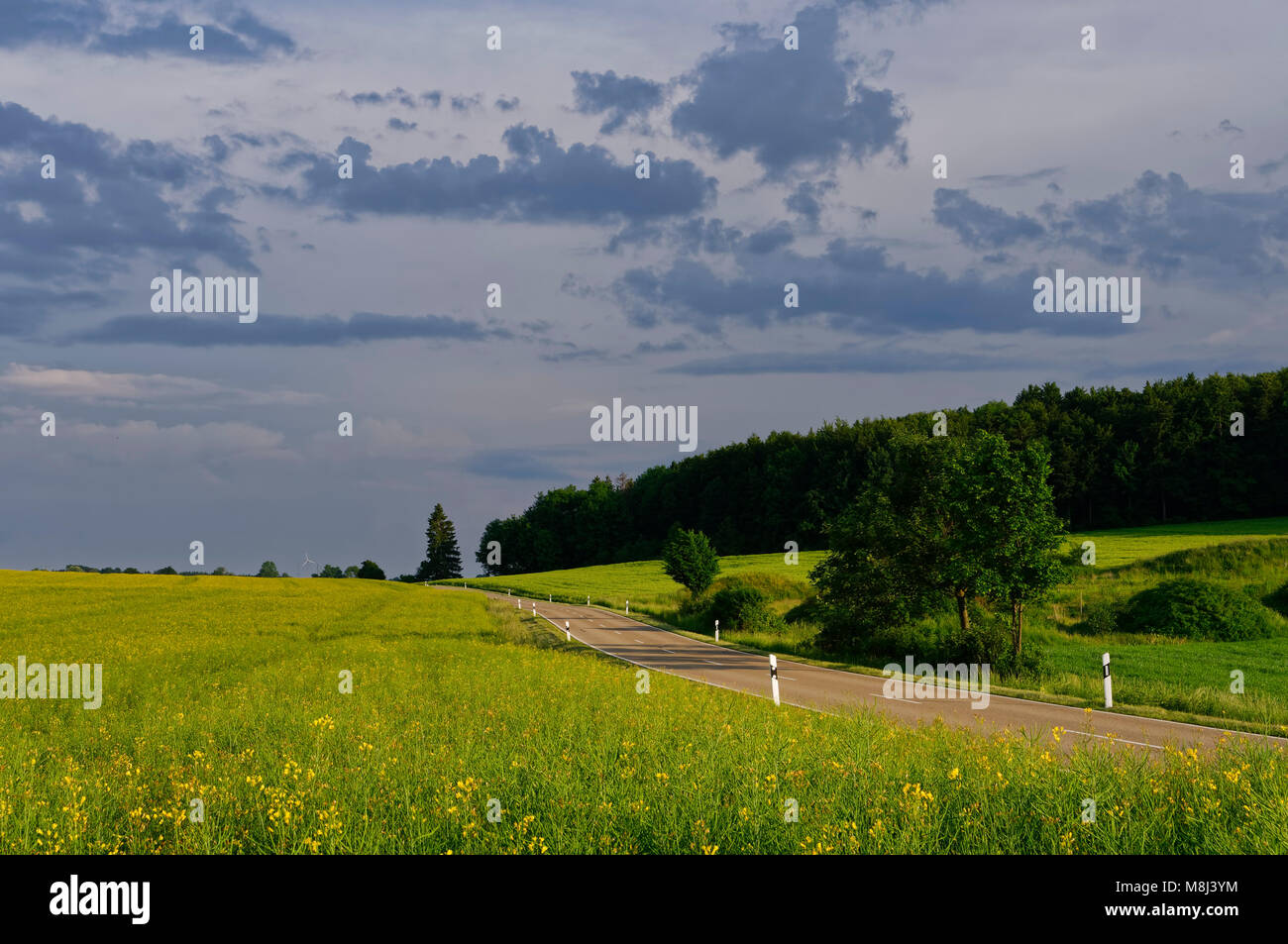 Road on the Swabian Alps near Feldstetten (part of Laichingen), Alb-Donau District, Baden-Württemberg, Germany Stock Photo