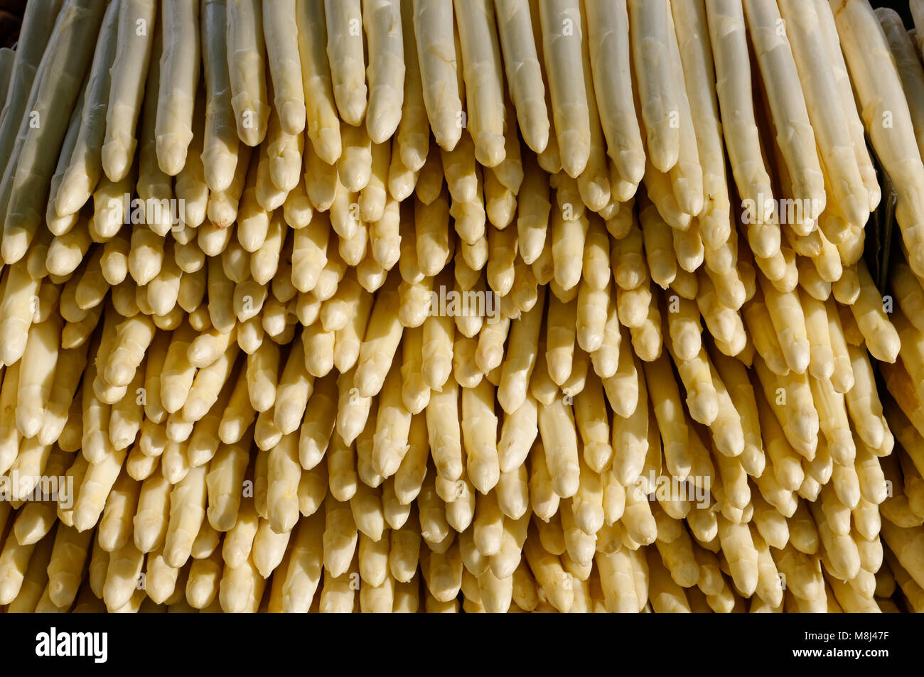 Schwetzingen: Asparagus (Badischer Spargel) in a stall on the castle square, Rhein-Neckar District,  Baden-Württemberg, Germany Stock Photo