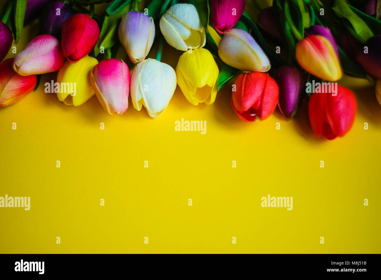 Spring card with tulip flowers on bright yellow background with copy ...