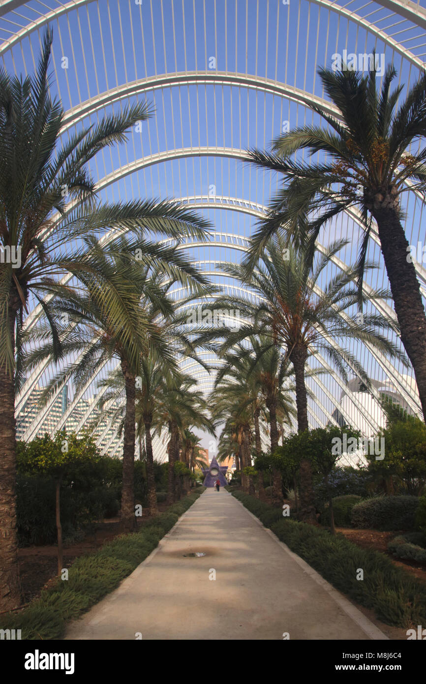 Roof of the Umbracle at City of Arts and Sciences Valencia Spain Stock ...