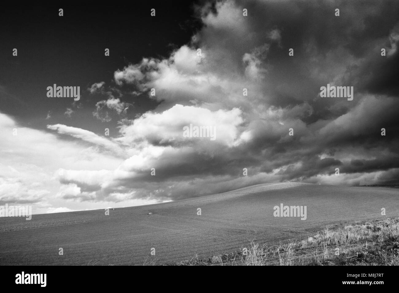 Lonely Art Nature Hills field under cloudy sky stormy weather black and ...