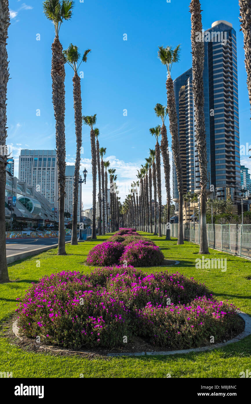 SAN DIEGO, CALIFORNIA, USA - Tall palm trees and colourful gardens on Martin Luther Promenade, in the Gaslamp Quarter of the city. Stock Photo