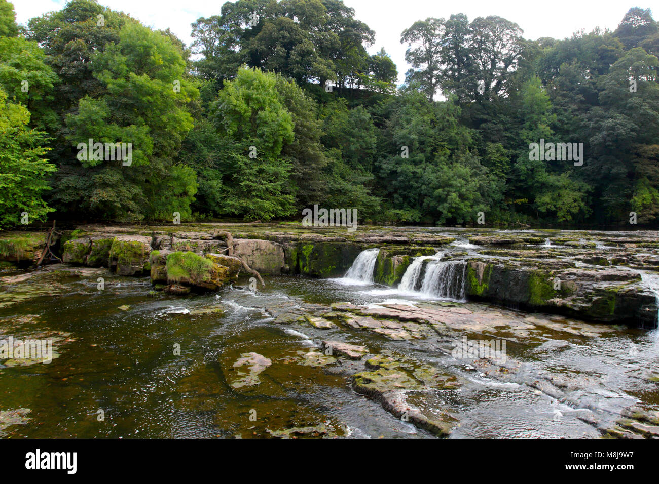 Aysgarth lower falls on the River Ure, Yorkshire Dales National Park, North Yorkshire, England Stock Photo