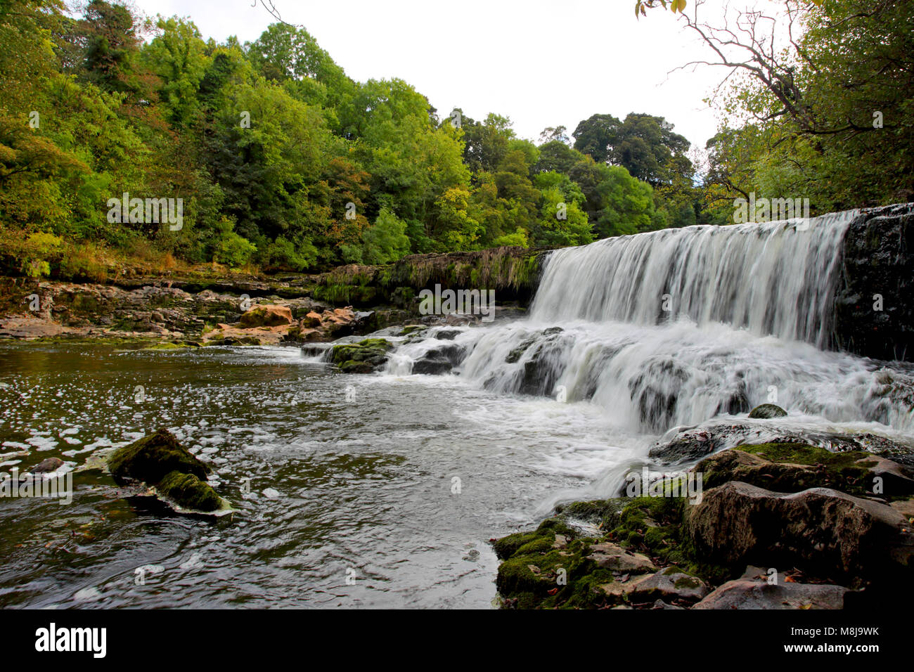 Aysgarth lower falls on the River Ure, Yorkshire Dales National Park, North Yorkshire, England Stock Photo