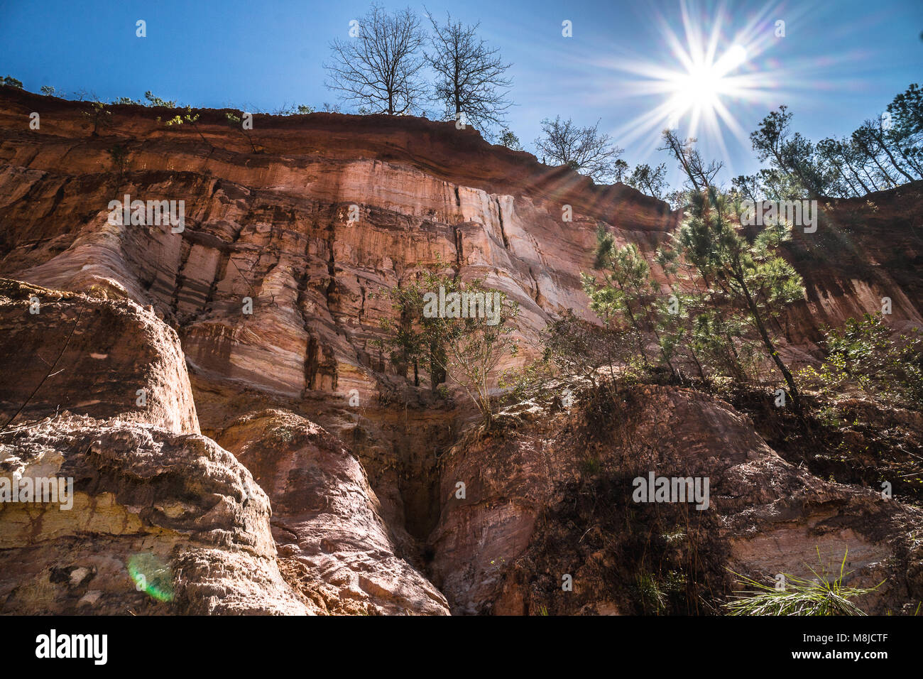 Gallery image with a fresh perspective