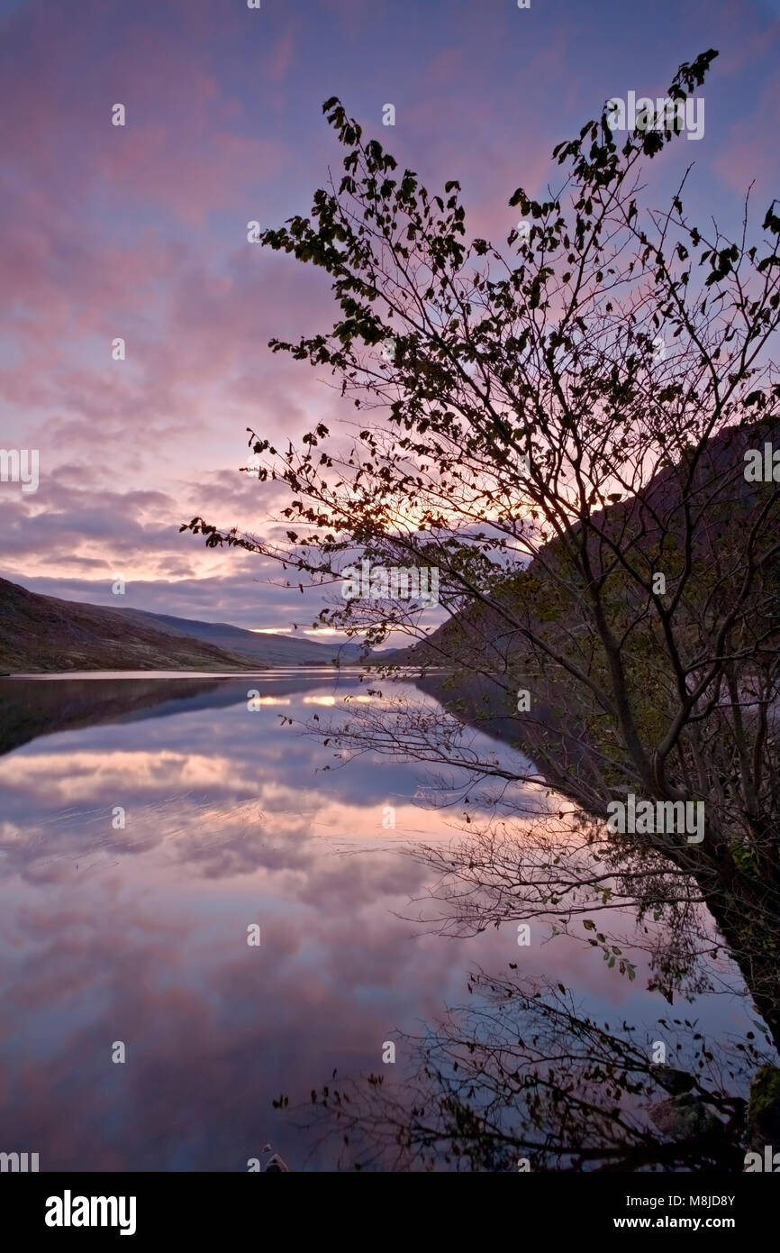 Llyn Ogwen at dawn with reflections, Snowdonia, North Wales Stock Photo