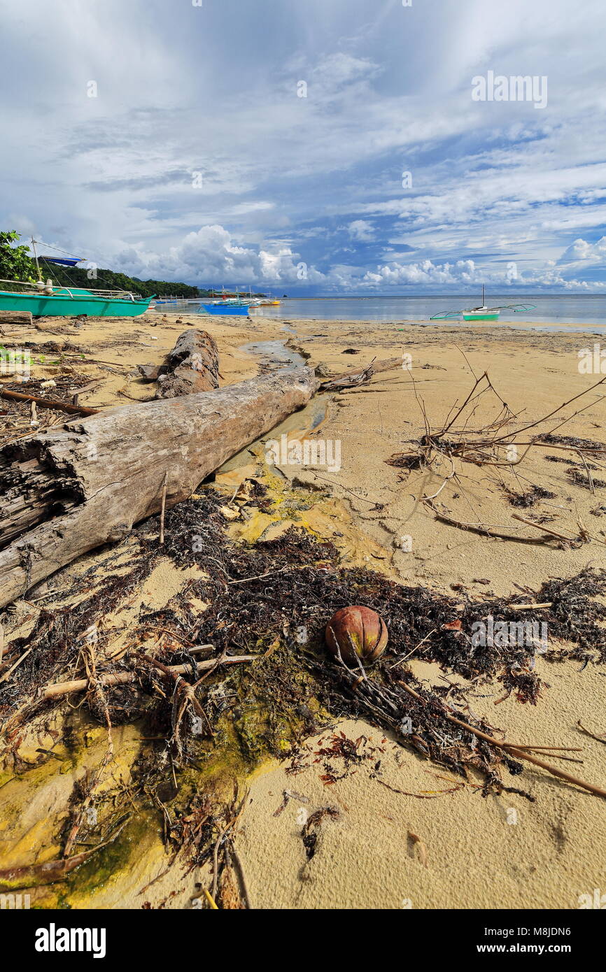 Sea wrack and tree log on the sand-balangay or bangka double outrigger boats for touris use of the nearby resorts stranded on Punta Ballo beach. Sipal Stock Photo
