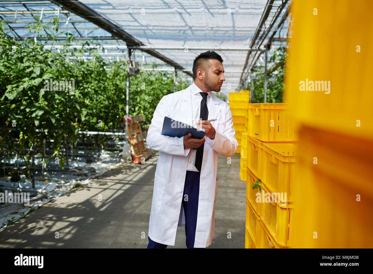 Engineer in hothouse Stock Photo