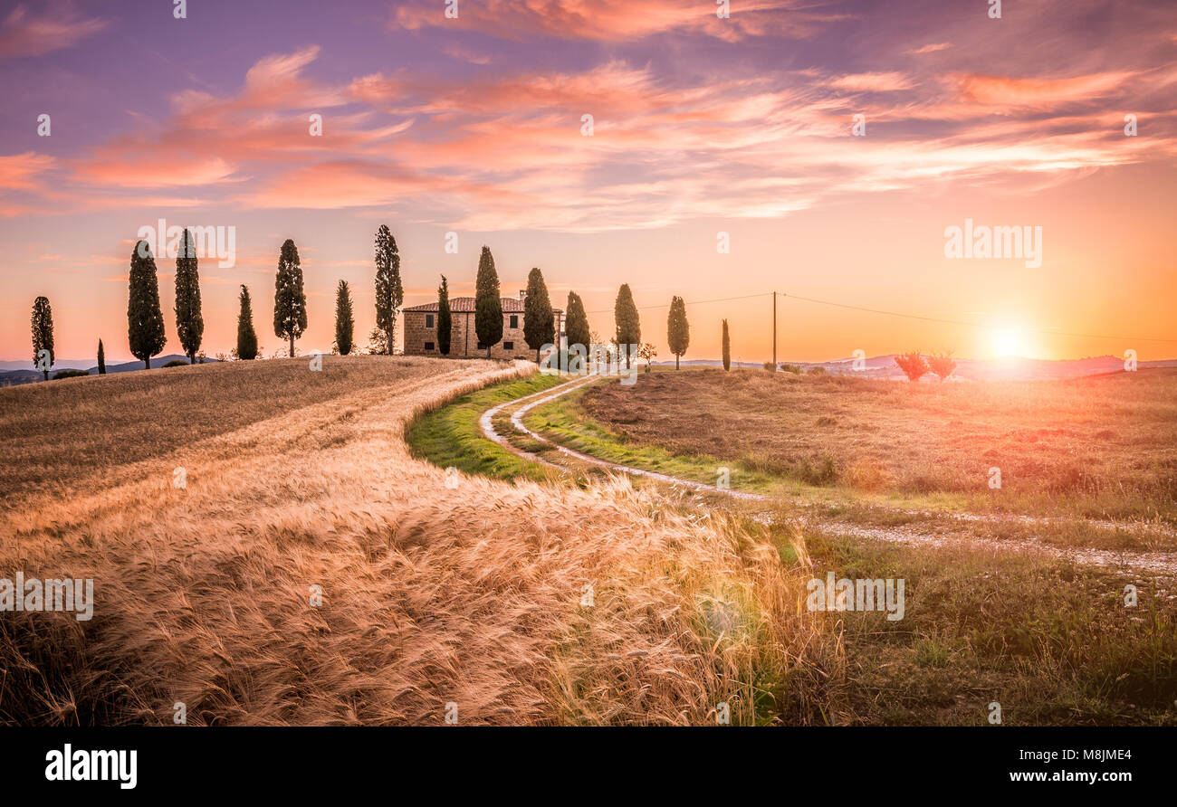 Tuscan sunrise landscape with farmhouse and cypress trees Stock Photo ...
