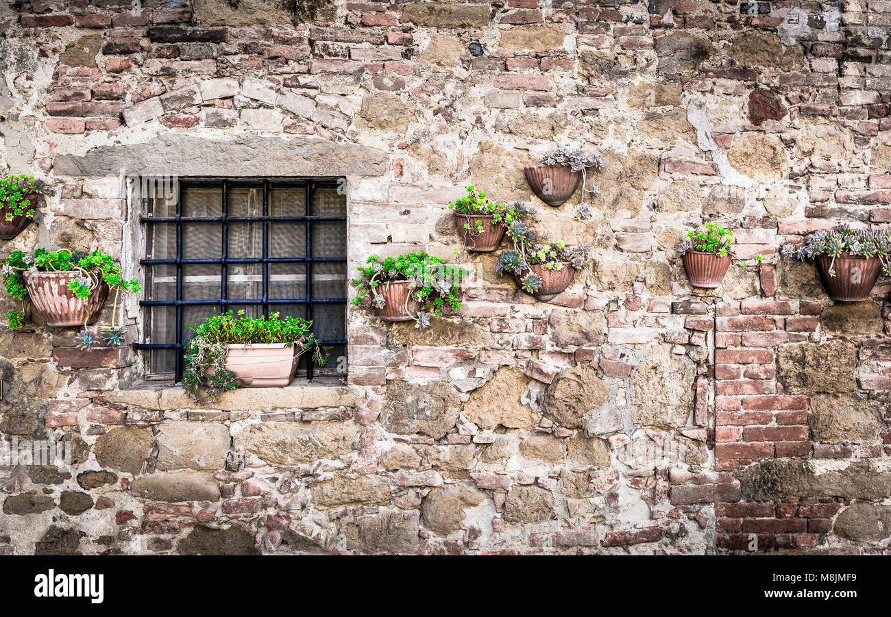 Flowers on a wall somewhere in Tuscany Stock Photo - Alamy