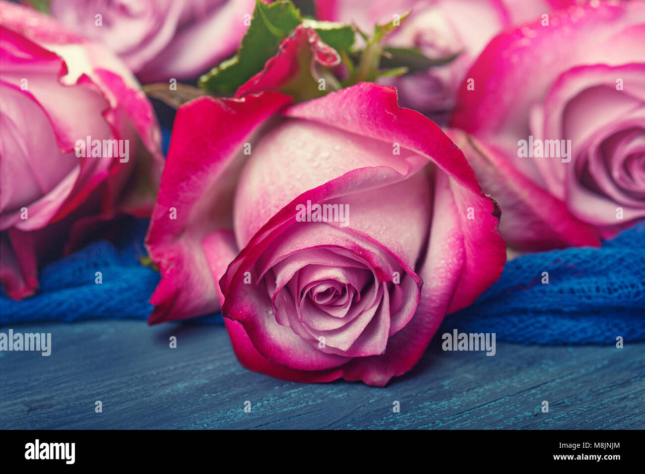 Bouquet of red roses on a blue wooden background Stock Photo - Alamy
