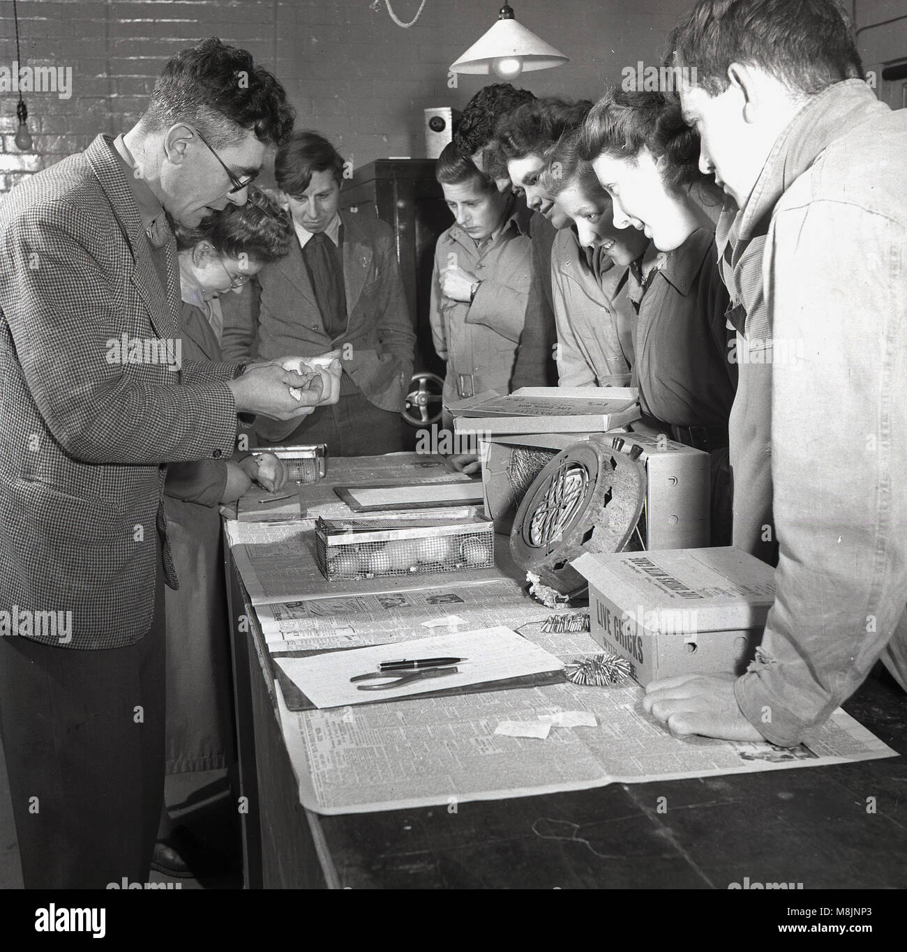 1950s, historical, a teacher showing a group of agricultural students a live chick, England, UK. A number of cardboard boxs with 'live chicks - handle with care' are on the table. Stock Photo