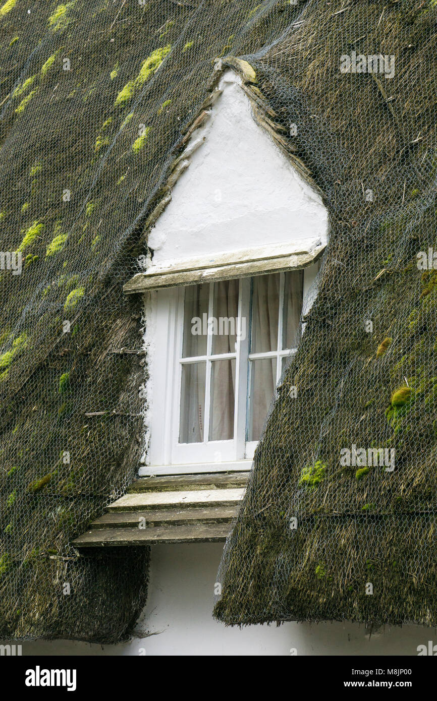 Dormer window in thatched roof Stock Photo