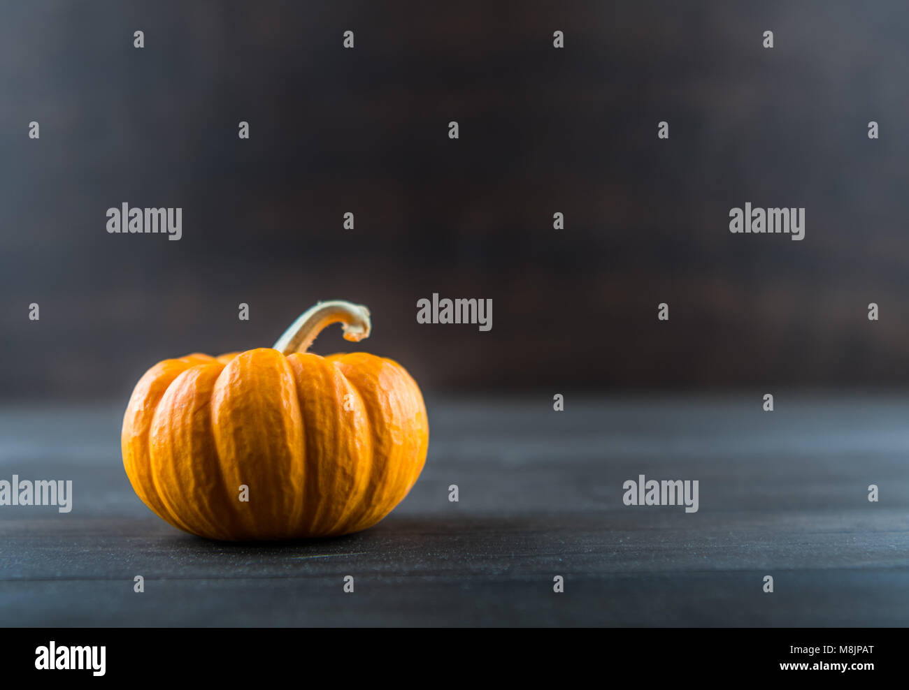 Giant pumpkin close up hi-res stock photography and images - Alamy