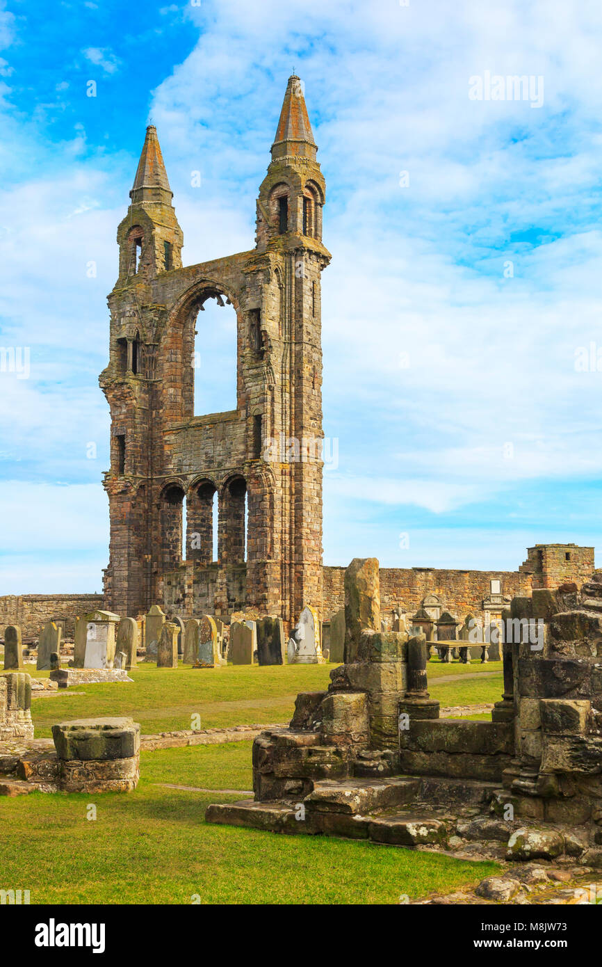 Ruins of St Andrews Cathedral, St Andrews, Fife, Scotland, UK Stock Photo