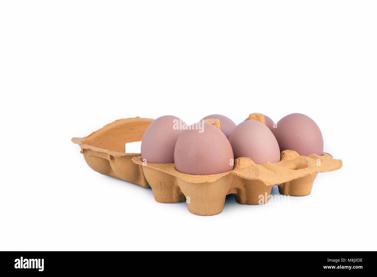 chicken eggs in box on white background Stock Photo - Alamy