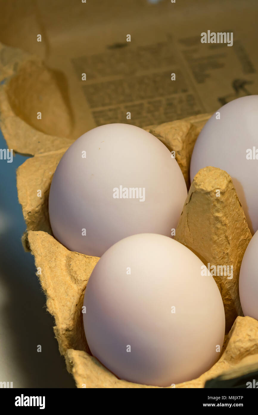 6 duck eggs Stock Photo Alamy