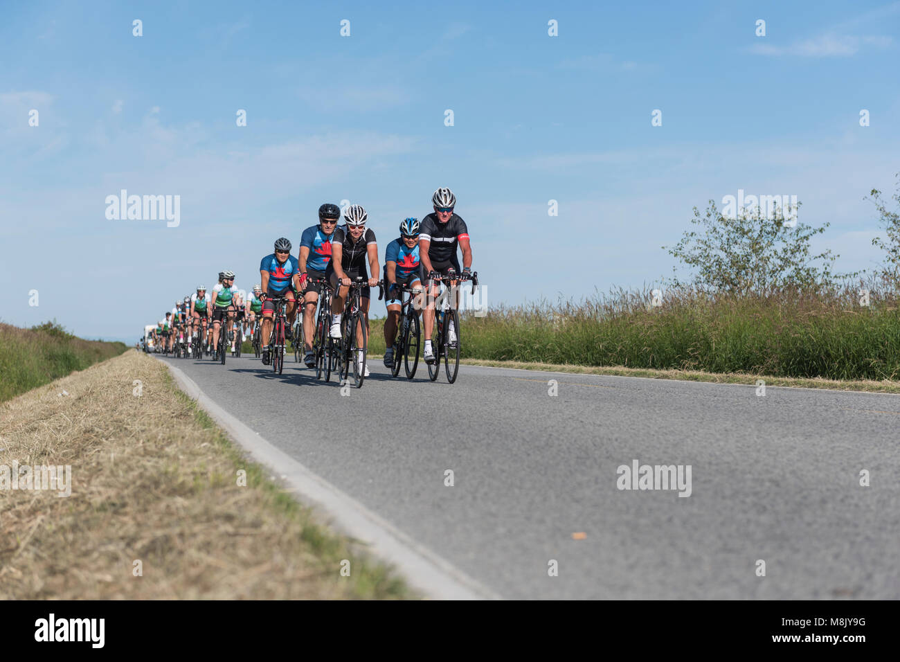 Large group of cyclists traveling down a roadway in formation. Stock Photo