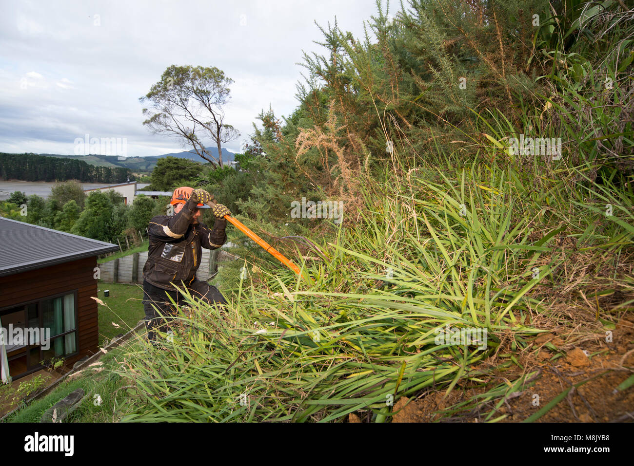 Man removing weeds from hill Stock Photo