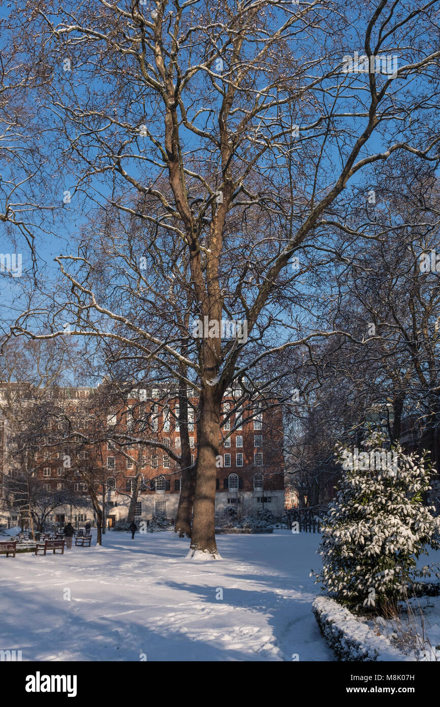 Tavistock Square in the snow, Bloomsbury, Camden, London, UK Stock Photo
