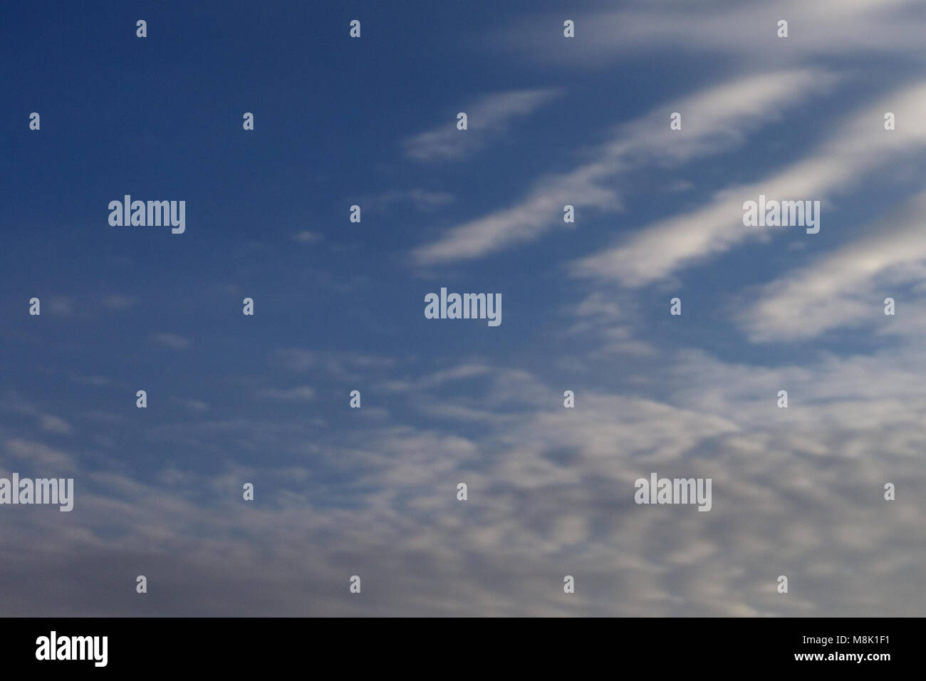 Wheat field and blue sky with clouds Stock Photo - Alamy