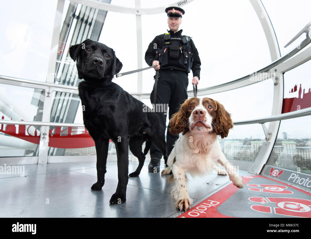 the-london-eye-celebrated-chinese-new-year-of-the-dog-by-inviting-M8K37C.jpg