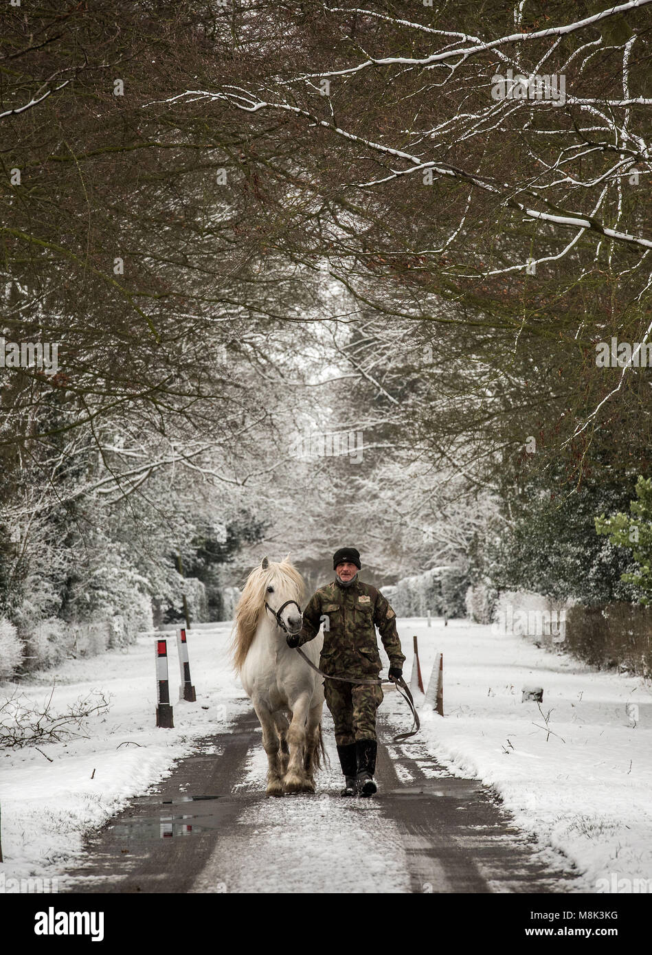 A staff member from Whatton Manor Stud leads a horse in the snow in the Vale of Belvoir as the wintry snap dubbed the &quot;mini beast from the east&quot; keeps its grip on the UK. Stock Photo