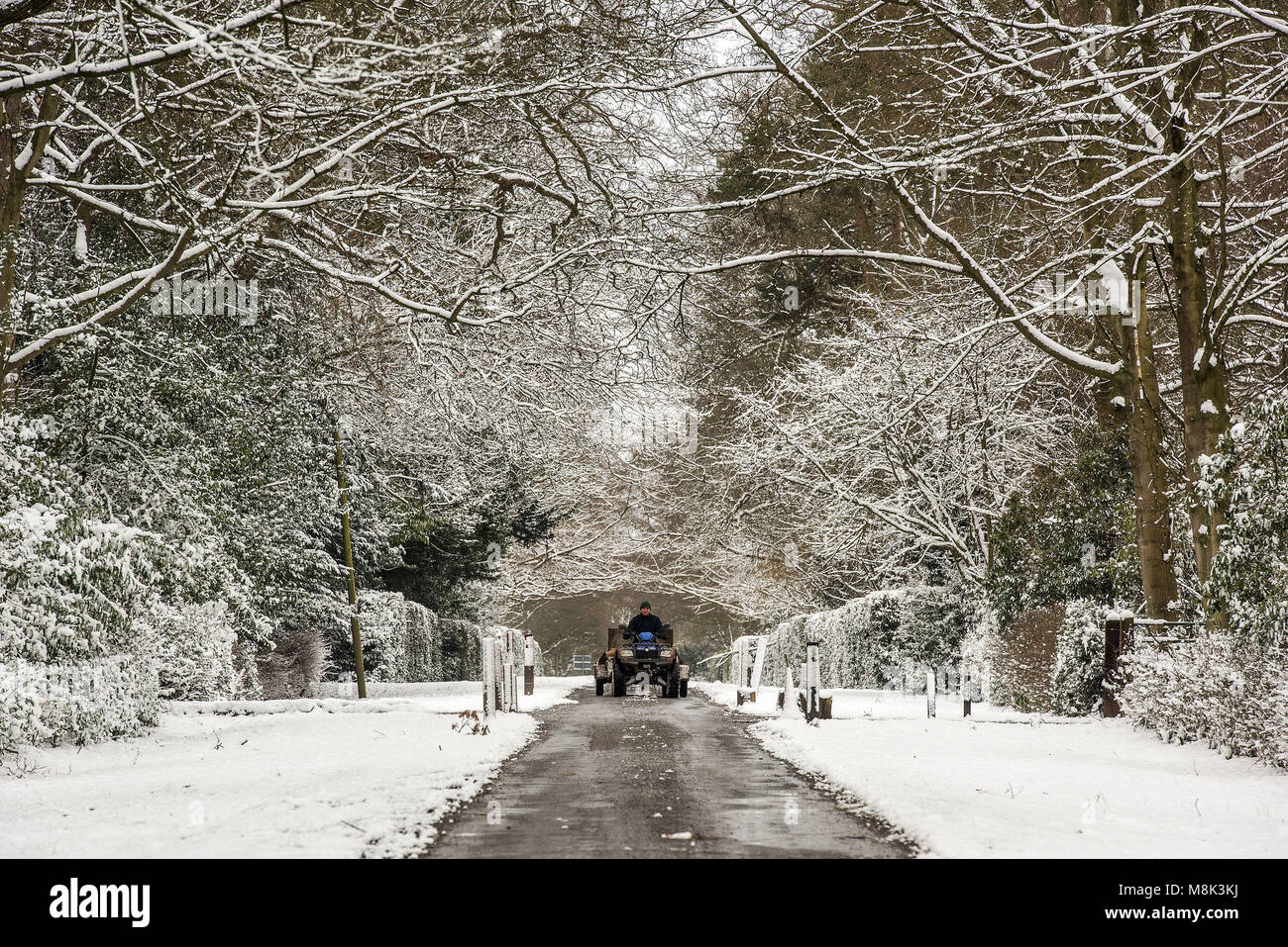 Staff from Whatton Manor Stud in the Vale of Belvoir as the wintry snap dubbed the &quot;mini beast from the east&quot; keeps its grip on the UK. Stock Photo