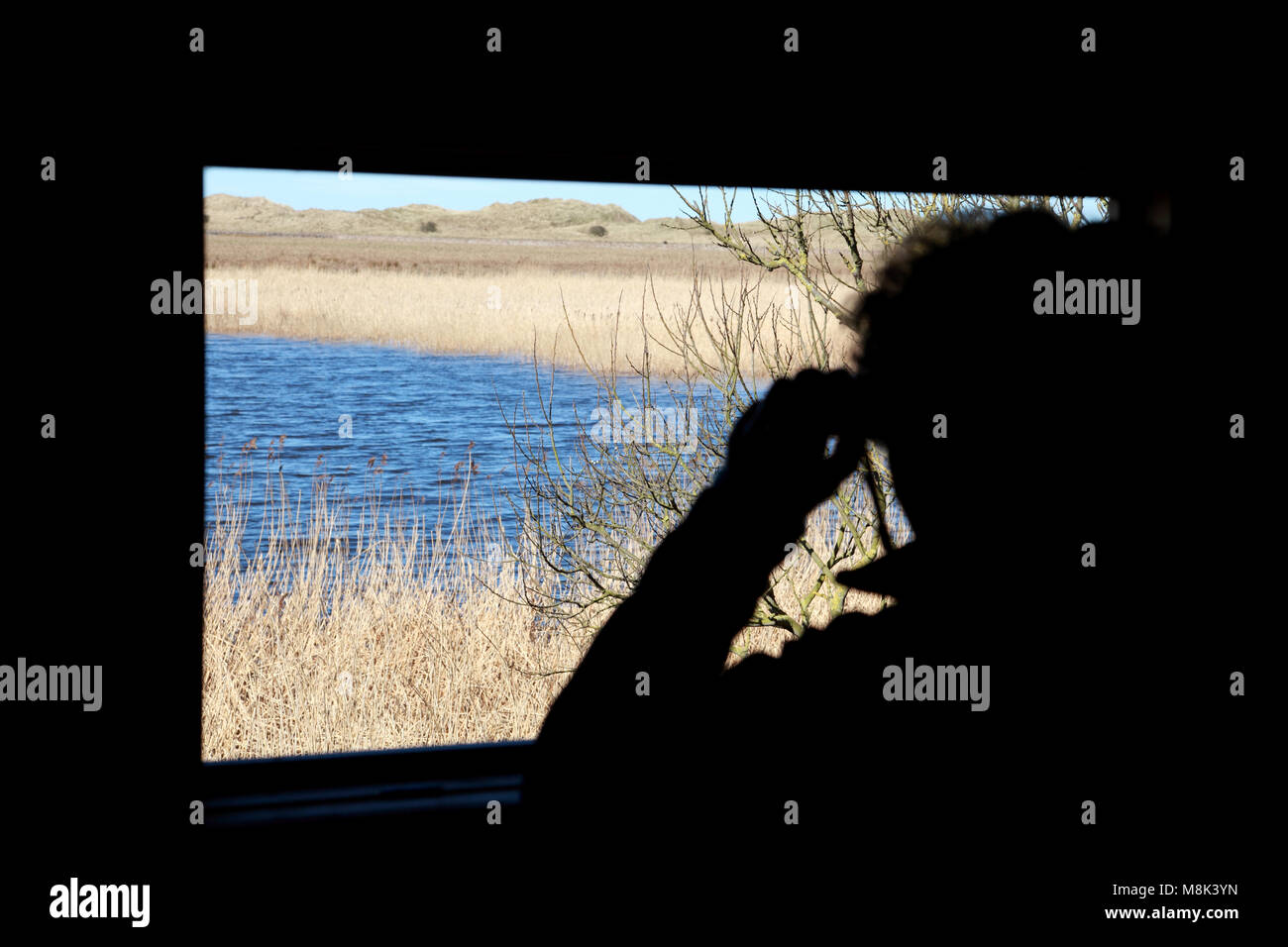 Birdwatching from the new hide overlooking “The Lough” on Lindisfarne, Holy Island Stock Photo
