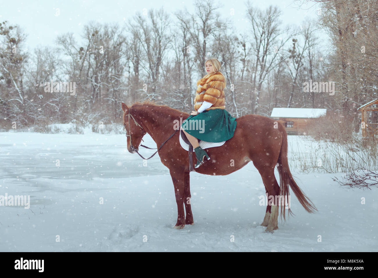 Woman is sitting on a horse in a winter park. Stock Photo