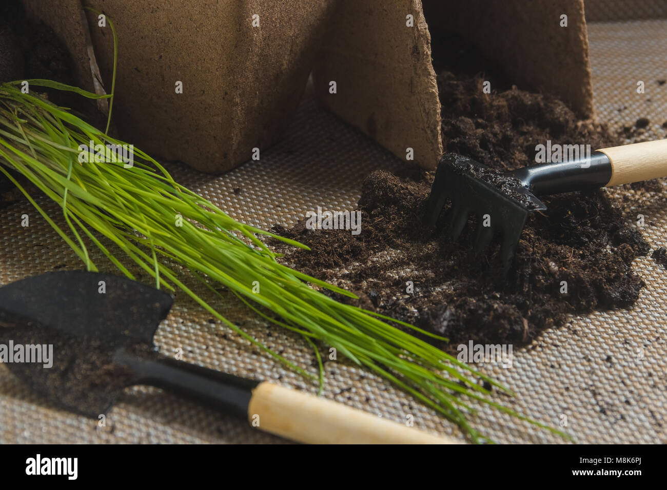 Preparing for Seasonal Transplantation of Plant, Ingardening. Product Still Life Image. Planting in Garden Concept. Stock Photo