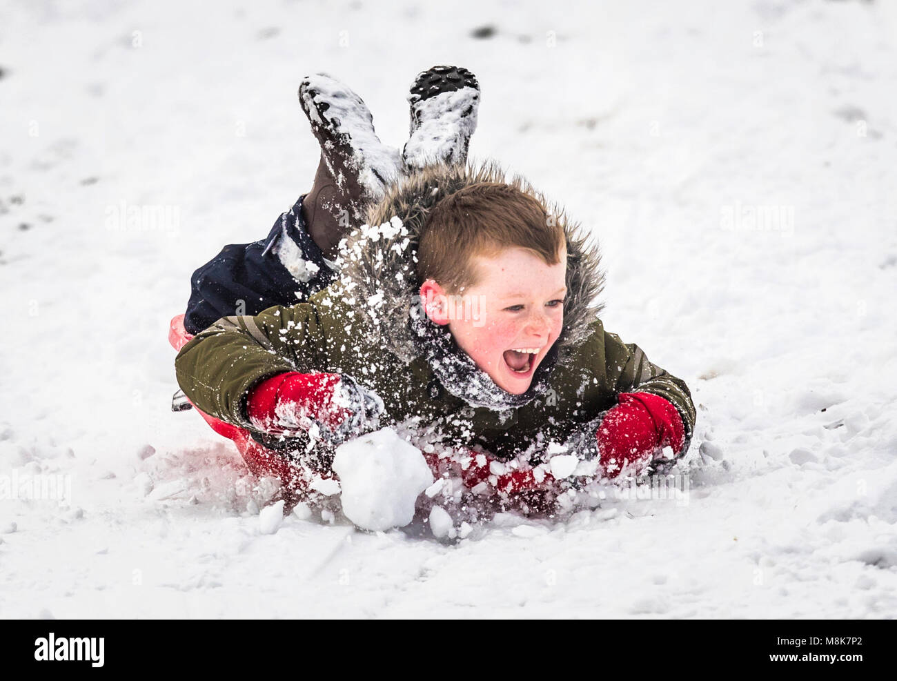 Luke Clarke, seven, sledging in the snow in Chapel-en-le-Frith, Derbyshire, as the wintry snap dubbed the mini beast from the east keeps its grip on the UK. Stock Photo